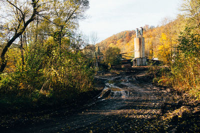Road amidst trees in forest against sky during autumn