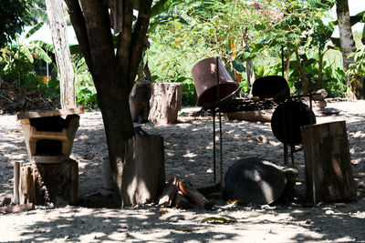 View of birds on plants against trees