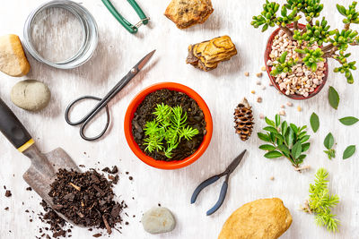 High angle view of food on table