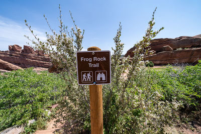 Information sign by tree against sky