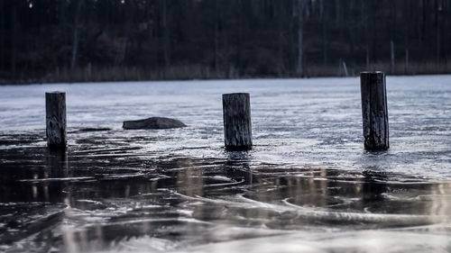 Poles in frozen lake against blurred trees
