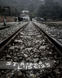 Railroad tracks amidst trees