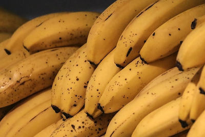 Close-up of bananas