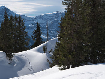 Scenic view of snow covered mountains against sky