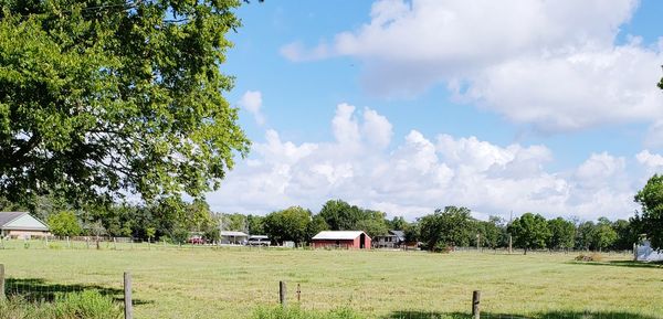 Panoramic shot of trees on field against sky