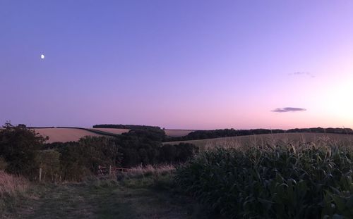 Scenic view of field against clear sky at sunset