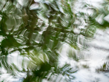 Full frame shot of plants