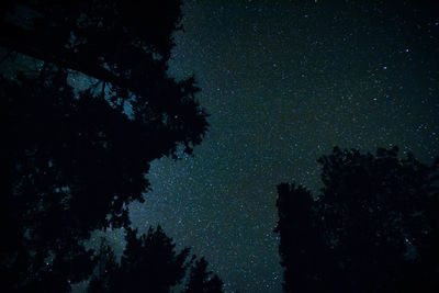 Low angle view of silhouette trees against sky at night