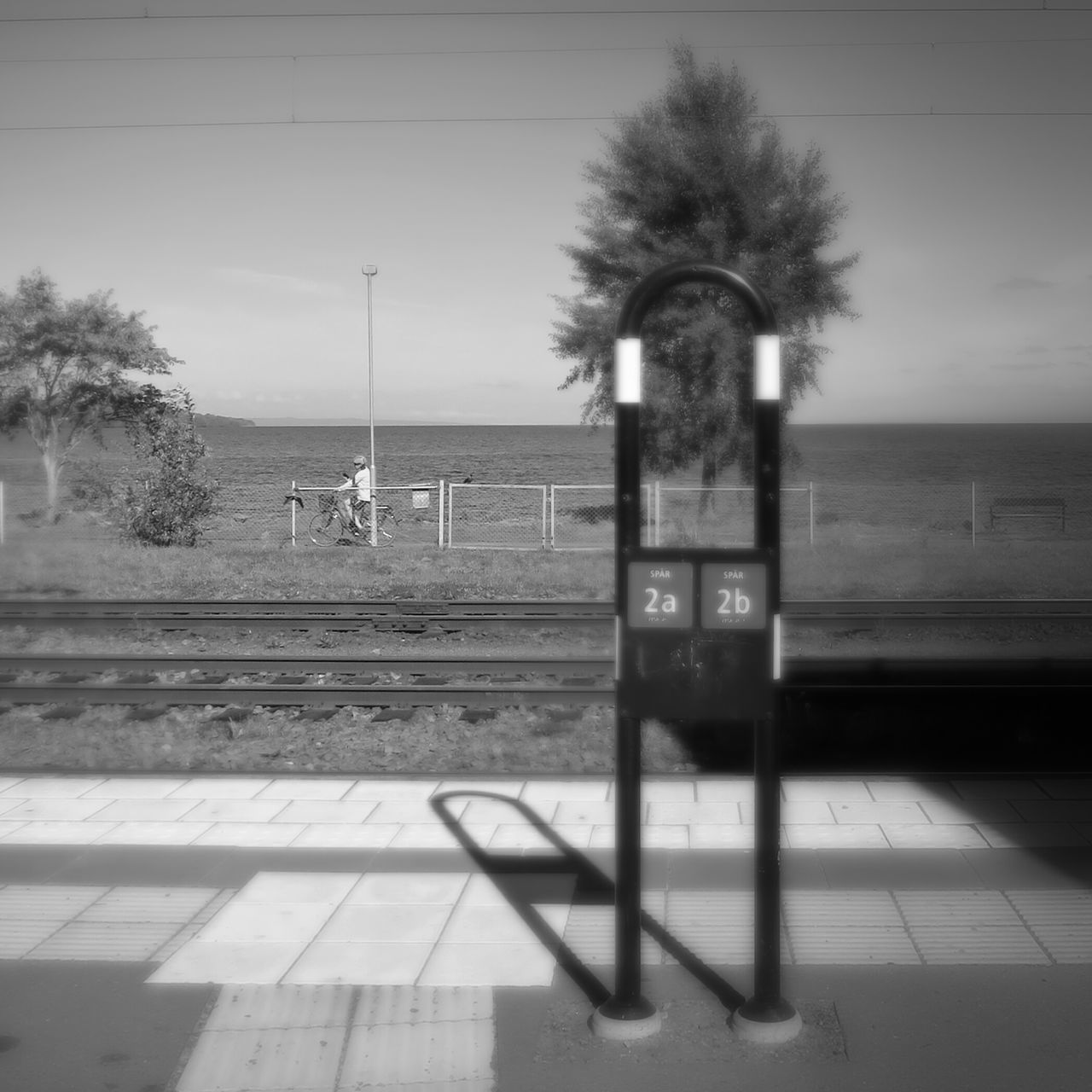 sea, horizon over water, water, transportation, sky, mode of transport, empty, tree, road, day, outdoors, travel, beach, tranquility, nature, clear sky, sunlight, street, incidental people, built structure