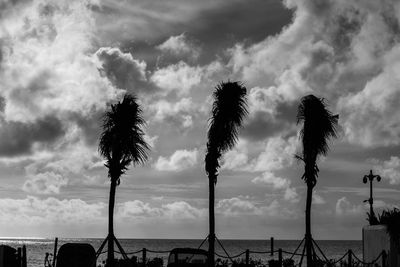 Low angle view of silhouette palm trees against sky