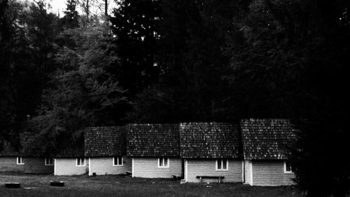 Chairs and table against trees