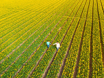 High angle view of woman standing on field