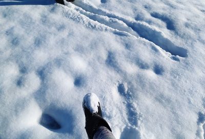 Low section of person in snow