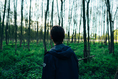 Rear view of man standing in forest