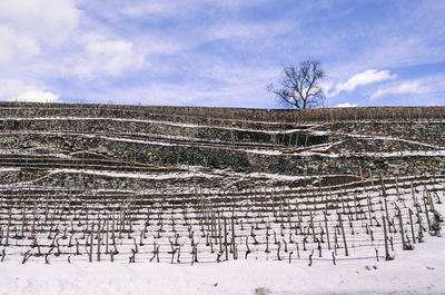 Scenic view of snow field against sky