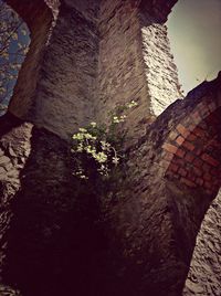 Low angle view of historical building