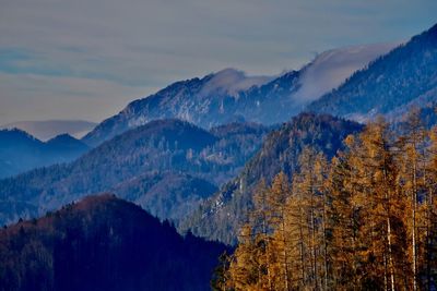 Scenic view of trees and mountains with fog against sky in autumn