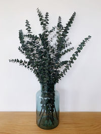 Close-up of potted plant on table at home