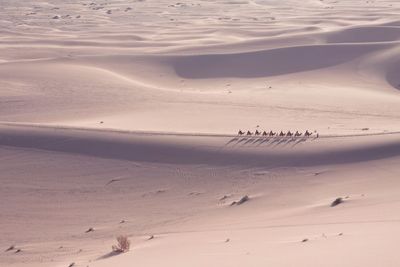 Scenic view of sand dunes at beach against sky