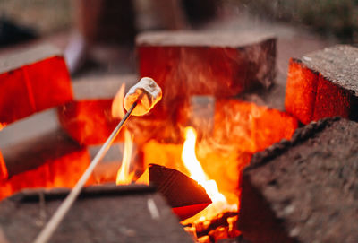 Close-up of burning fire on wood