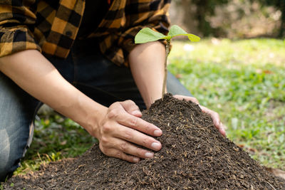 Midsection of man holding plant