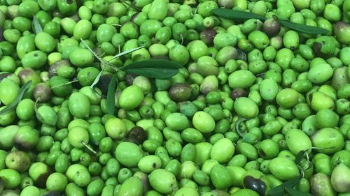 Full frame shot of green fruits for sale in market