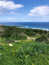 Scenic view of sea against sky