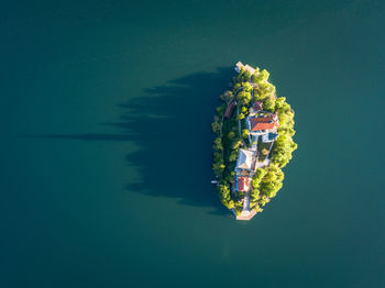 High angle view of floating on water