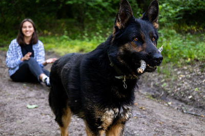 Close-up of dog