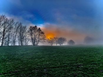 Trees on field against sky during sunset