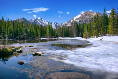 Scenic view of lake by trees against sky