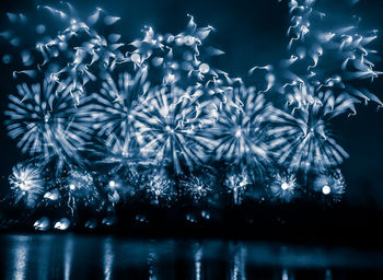 Close-up of illuminated christmas tree at night
