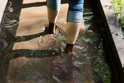 Low section of woman standing in water