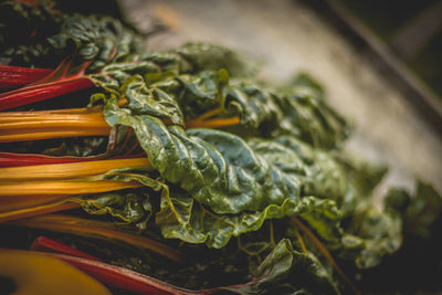 Close-up of vegetables