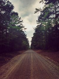 Empty road with trees in background