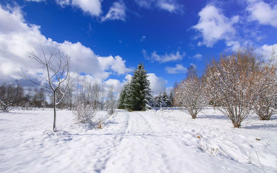 Trees on snow covered field against sky