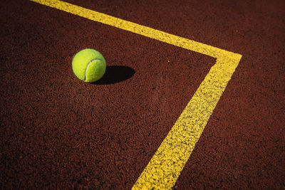 High angle view of yellow ball on leaf