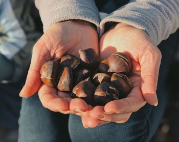 Cropped image of woman holding chestnuts outdoors