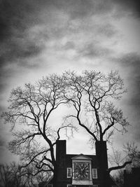 Low angle view of bare trees against sky