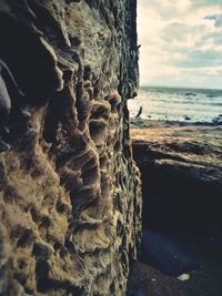 Close-up of sea shore at beach against sky