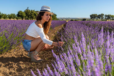 A young woman in a field of blooming lavender. she crouched down to pick a flower.