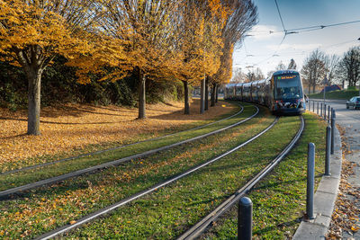 Railroad tracks amidst trees during autumn