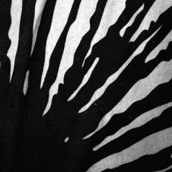 Full frame shot of tiled floor