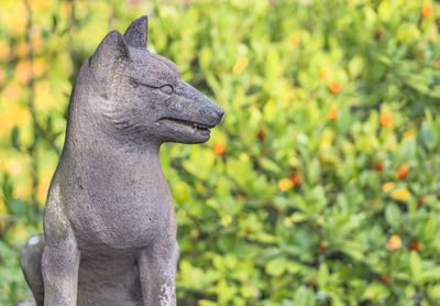Close-up of statue against trees