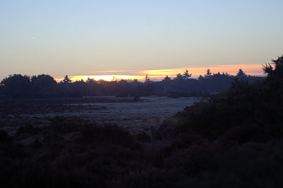 Scenic view of silhouette trees against sky at sunset
