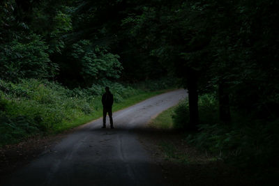 Rear view of man standing on road in forest