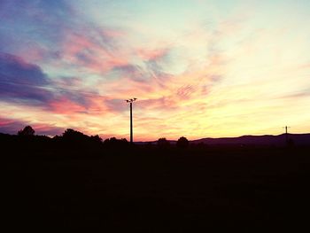 Silhouette of trees at sunset