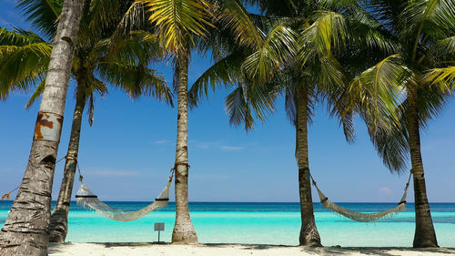 Tropical sandy beach with hammock, palm trees and turquoise clear waters. panglao island, bohol