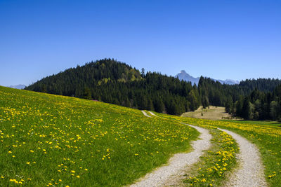 Scenic view of landscape against clear blue sky