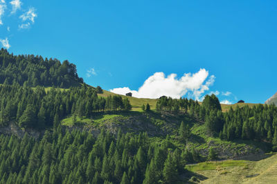 Panoramic view of landscape against blue sky